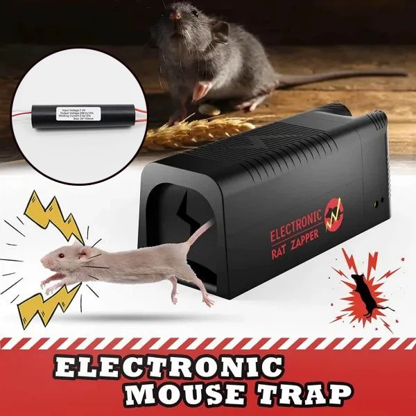 Electric mouse trap Electric mouse trap